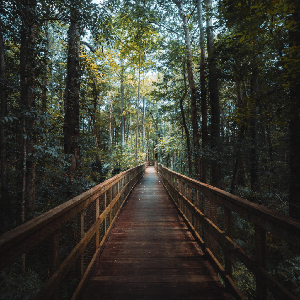How To Hike Florida’s 1,000-Mile-Long Trail?