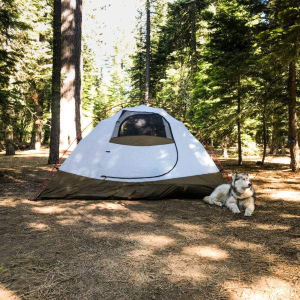 10 Hidden Gems for Your Next Camping Adventure