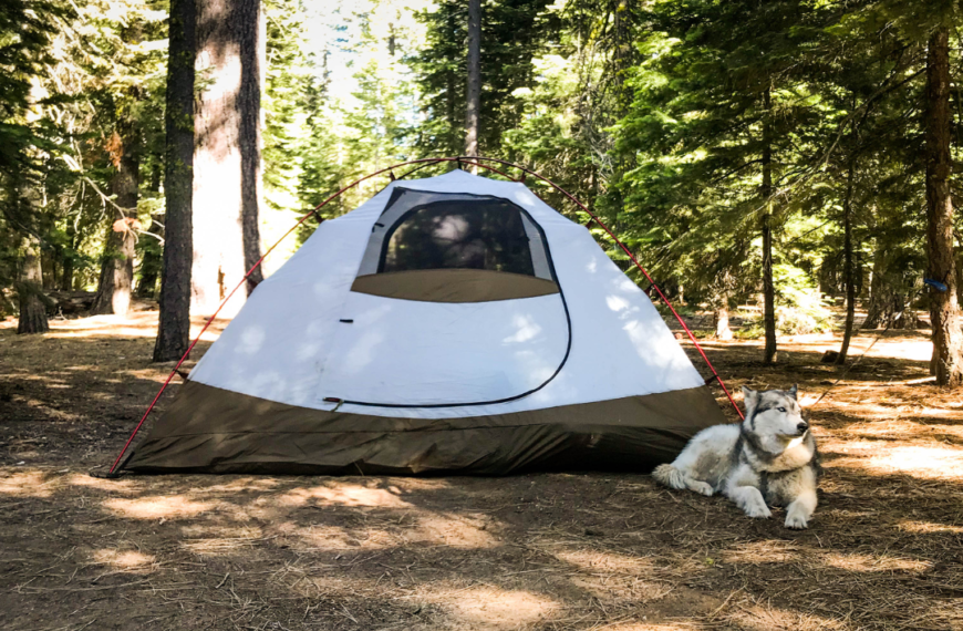 10 Hidden Gems for Your Next Camping Adventure