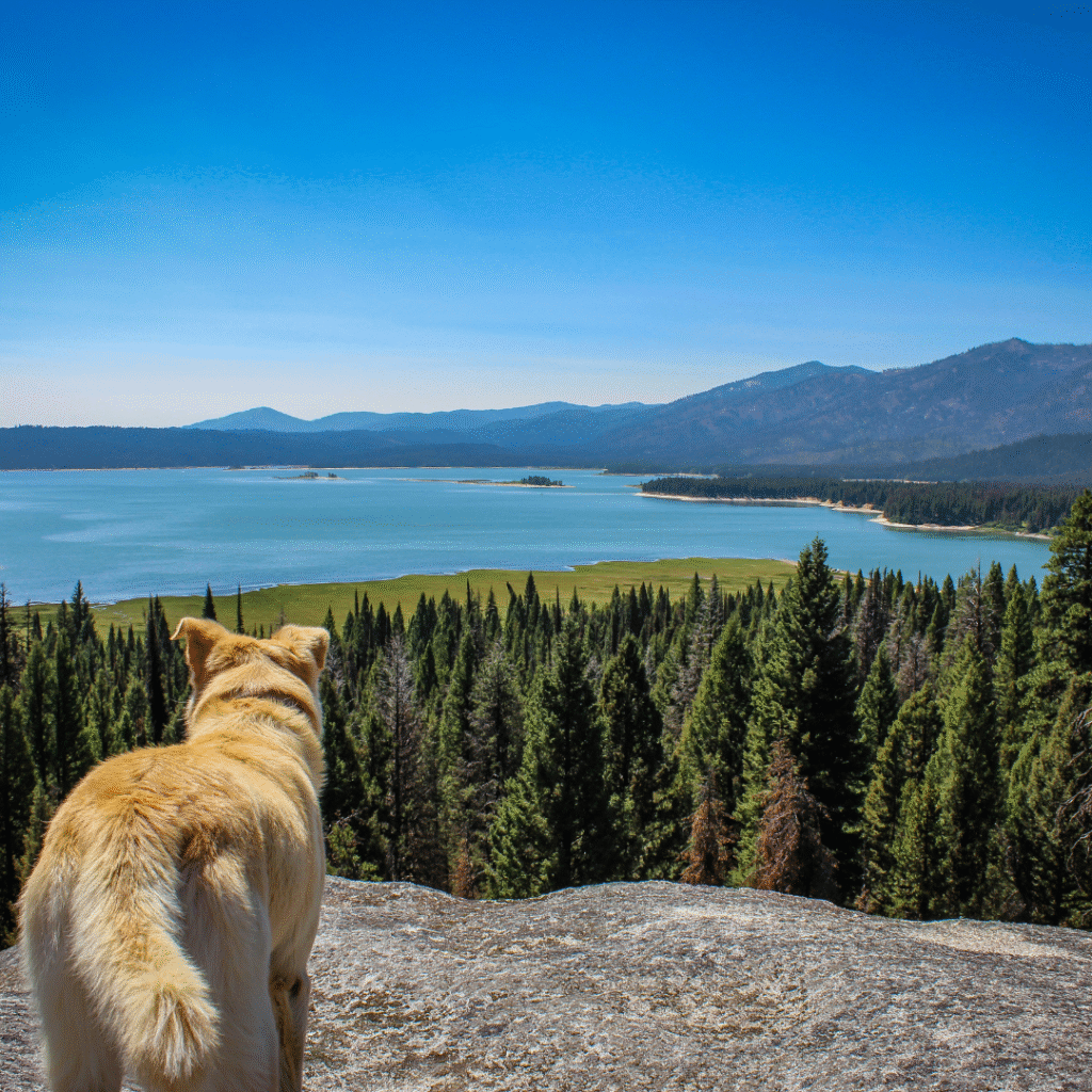 5 Countries to Visit If You Love Nature and the Outdoors 5 Countries to Visit If You Love Nature and the Outdoors